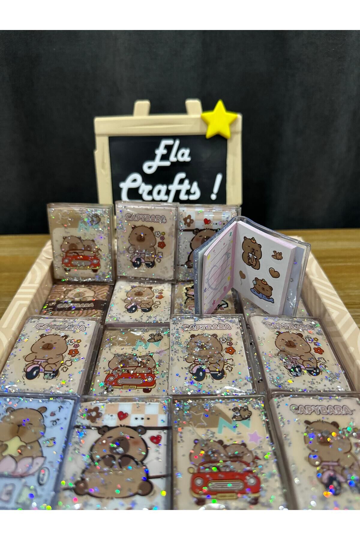 3 Adet Sulu Kapaklı Cappybara Tasarım Mini Not Defteri & Sticker